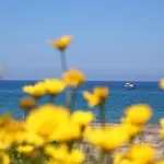 Verdemare In Relax Апартаменти *