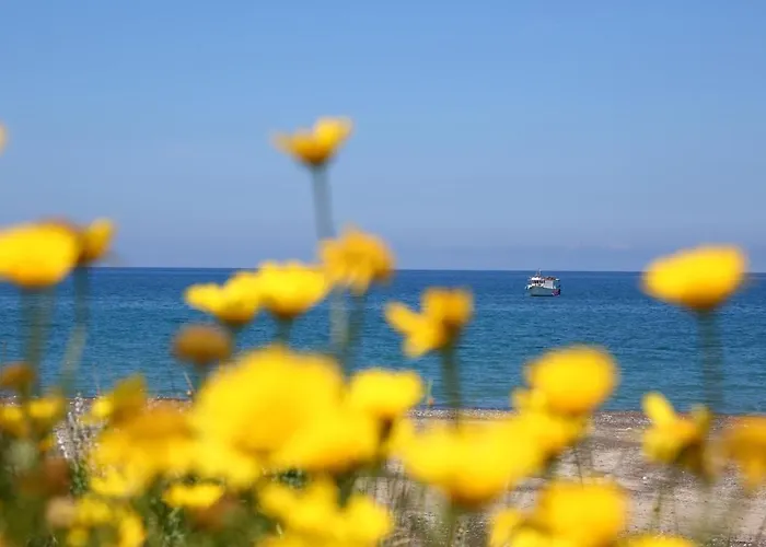 Verdemare In Relax Appartement *